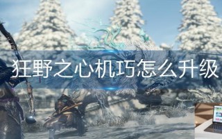 狂野之心机巧怎么升级