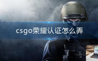 csgo荣耀认证怎么弄