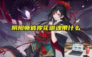 阴阳师彼岸花御魂带什么