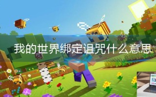 我的世界绑定诅咒什么意思