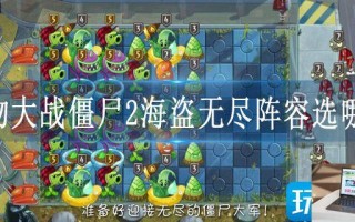 植物大战僵尸2海盗无尽阵容选哪个