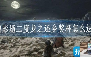 只狼影逝二度龙之还乡奖杯怎么达成