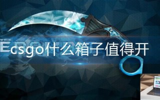 csgo什么箱子值得开