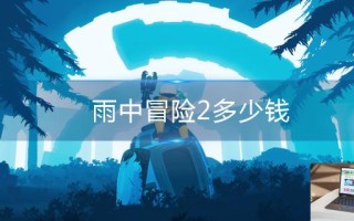 雨中冒险2多少钱