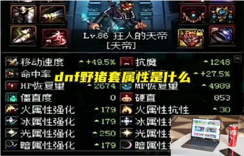 dnf野猪套属性是什么-第1张图片-零力游戏日记