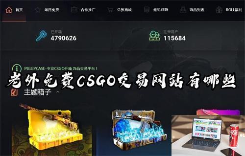 老外免费CSGO交易网站有哪些-第1张图片-零力游戏日记