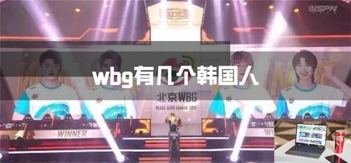 wbg有几个韩国人-第1张图片-零力游戏日记