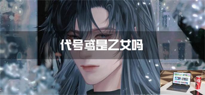 代号鸢是乙女吗-第1张图片-零力游戏日记