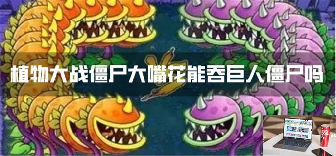 植物大战僵尸大嘴花能吞巨人僵尸吗-第1张图片-零力游戏日记