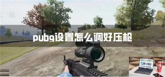 pubg设置怎么调好压枪-第1张图片-零力游戏日记