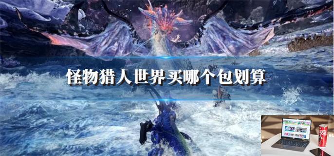 怪物猎人世界买哪个包划算-第1张图片-零力游戏日记