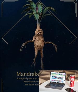 霍格沃茨之遗曼德拉草在哪买-第2张图片-零力游戏日记