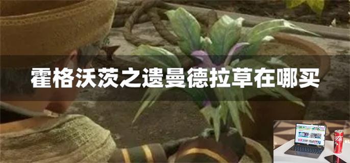 霍格沃茨之遗曼德拉草在哪买-第1张图片-零力游戏日记