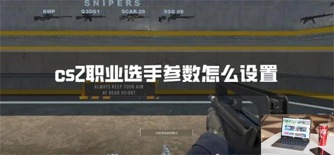 cs2职业选手参数怎么设置-第1张图片-零力游戏日记