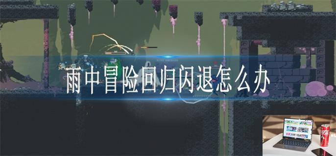 雨中冒险回归闪退怎么办-第1张图片-零力游戏日记
