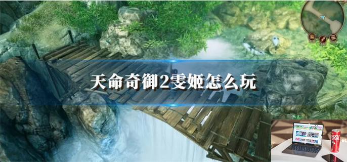 天命奇御2雯姬怎么玩-第1张图片-零力游戏日记
