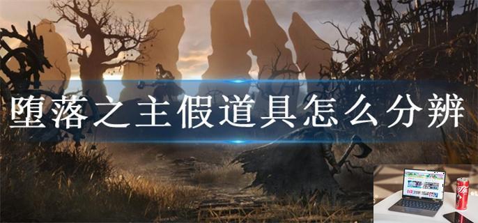 堕落之主假道具怎么分辨-第1张图片-零力游戏日记