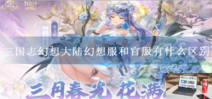 三国志幻想大陆幻想服和官服有什么区别-第1张图片-零力游戏日记