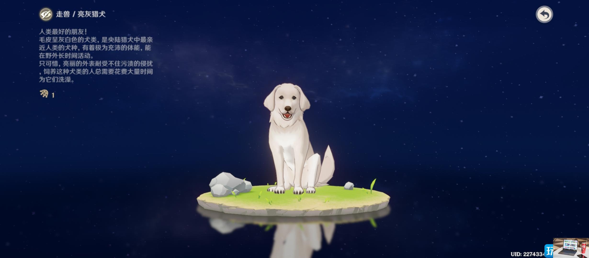 原神亮灰猎犬在哪-第1张图片-零力游戏日记