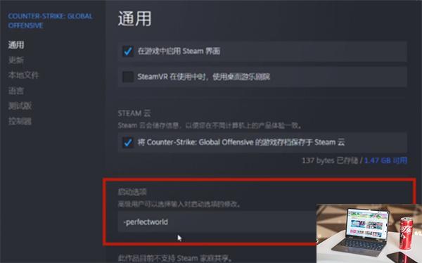 csgo国服启动项怎么设置-第3张图片-零力游戏日记