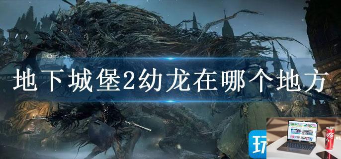 地下城堡2幼龙在哪个地方-第1张图片-零力游戏日记