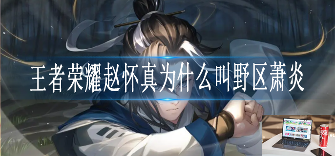 王者荣耀赵怀真为什么叫野区萧炎-第1张图片-零力游戏日记