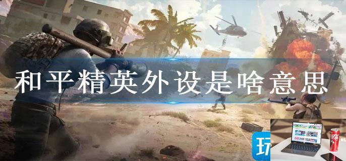 和平精英外设是啥意思-第1张图片-零力游戏日记
