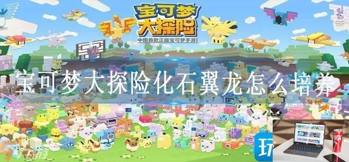 宝可梦大探险化石翼龙怎么培养-第1张图片-零力游戏日记