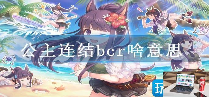 公主连结bcr啥意思-第1张图片-零力游戏日记