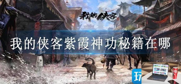 我的侠客紫霞神功秘籍在哪-第1张图片-零力游戏日记