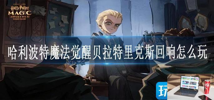 哈利波特魔法觉醒贝拉特里克斯回响怎么玩-第1张图片-零力游戏日记