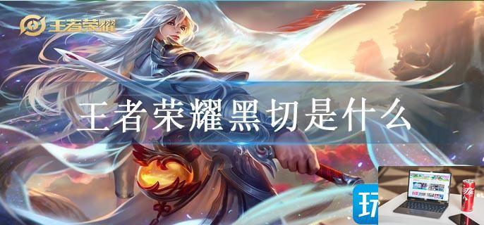 王者荣耀黑切是什么-第1张图片-零力游戏日记