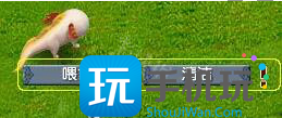 梦幻西游动物繁殖初期怎么玩-第2张图片-零力游戏日记