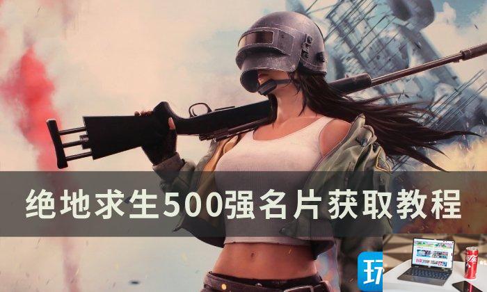 绝地求生500强名片在哪得-第1张图片-零力游戏日记
