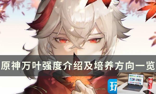 原神万叶怎么培养-第1张图片-零力游戏日记