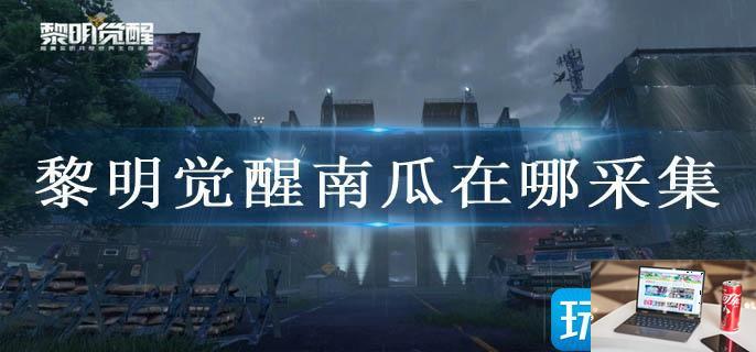 黎明觉醒南瓜在哪采集-第1张图片-零力游戏日记