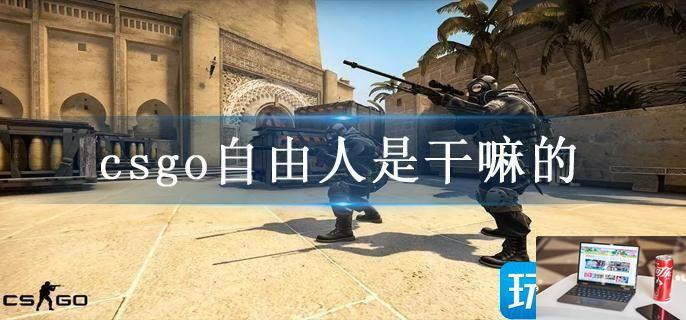 csgo自由人是干嘛的-第1张图片-零力游戏日记