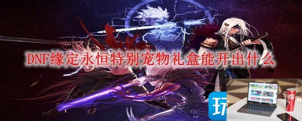 DNF缘定永恒特别宠物礼盒有什么-第1张图片-零力游戏日记