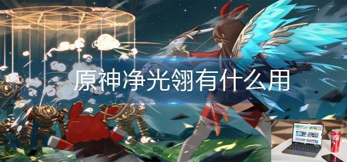 原神净光翎有什么用-第1张图片-零力游戏日记