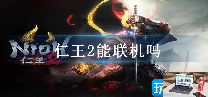 仁王2能联机吗-第1张图片-零力游戏日记