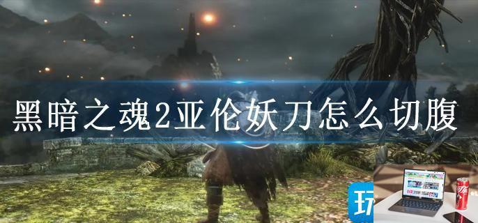 黑暗之魂2亚伦妖刀怎么切腹-第1张图片-零力游戏日记