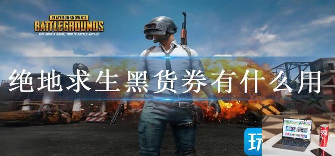 绝地求生黑货券有什么用-第1张图片-零力游戏日记