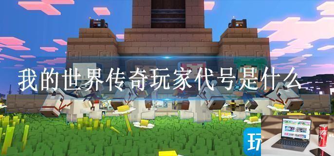 我的世界传奇玩家代号是什么-第1张图片-零力游戏日记