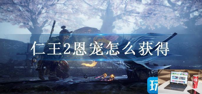 仁王2恩宠怎么获得-第1张图片-零力游戏日记