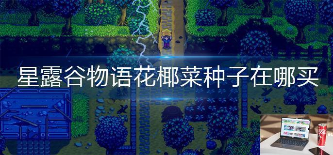 星露谷物语花椰菜种子在哪买-第1张图片-零力游戏日记