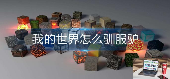 我的世界怎么驯服驴-第1张图片-零力游戏日记