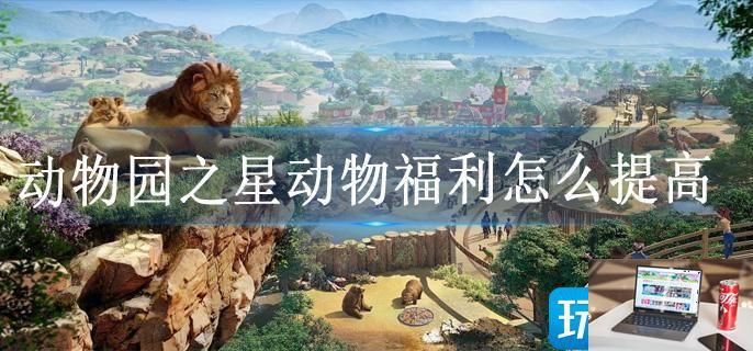 动物园之星动物福利怎么提高-第1张图片-零力游戏日记