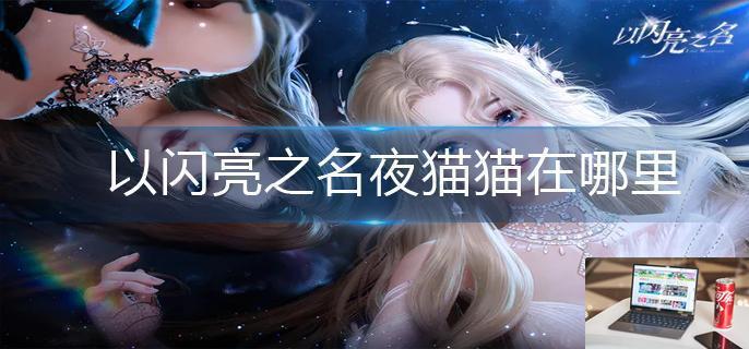 以闪亮之名夜猫猫在哪里-第1张图片-零力游戏日记