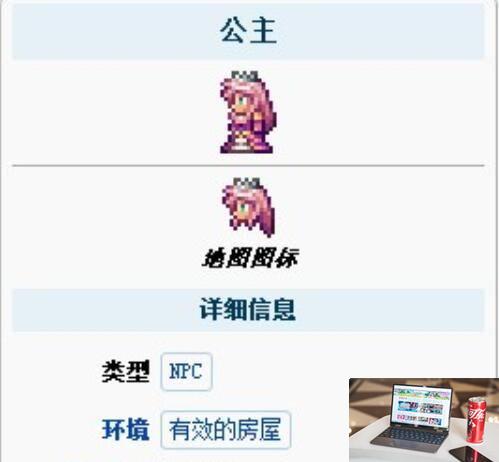 泰拉瑞亚公主入住条件是什么-第2张图片-零力游戏日记