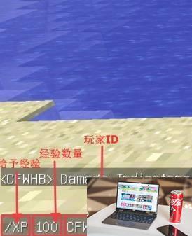 我的世界给经验的指令是什么-第2张图片-零力游戏日记